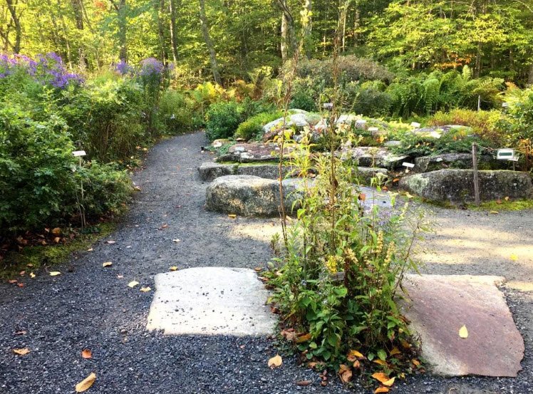 Wild Gardens of Acadia, United States